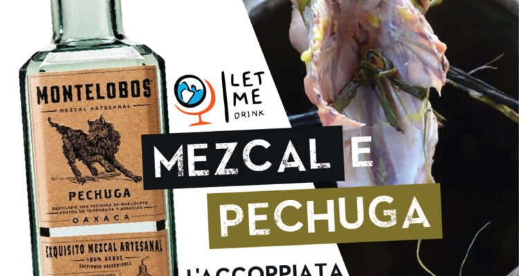 Benvenuti nel magico mondo del Mezcal!