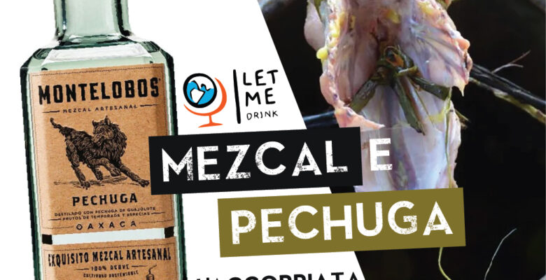 Benvenuti nel magico mondo del Mezcal!